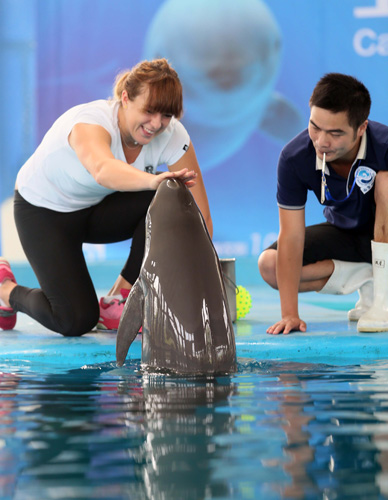 对抗数据与 对抗数据与