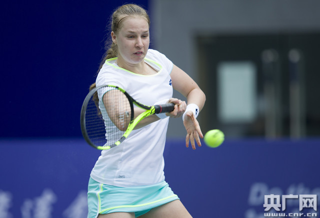 征服与协作 征服与协作