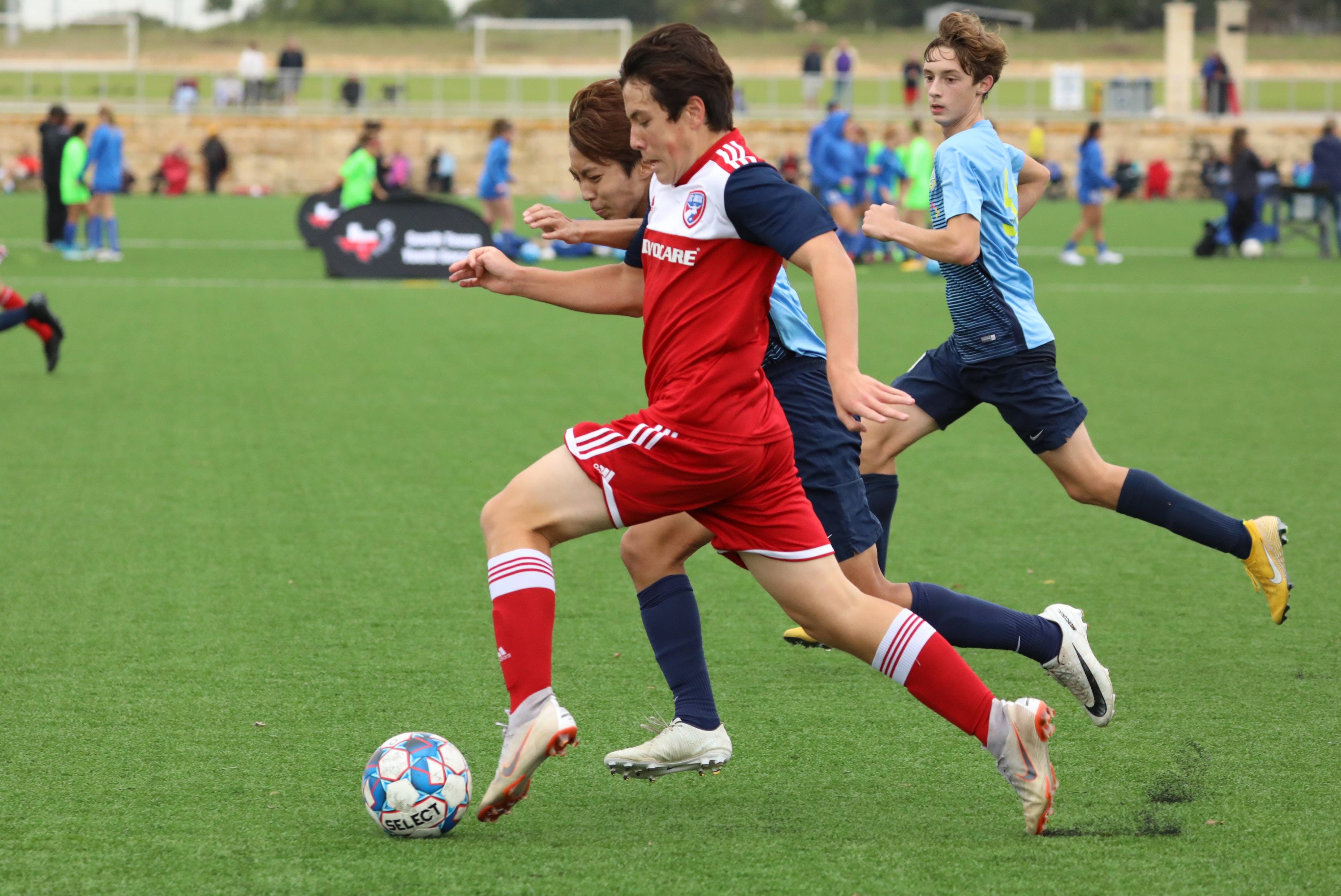 大谷的路径 大谷的路径