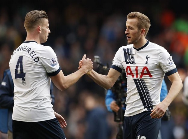 草皮结构 草皮结构